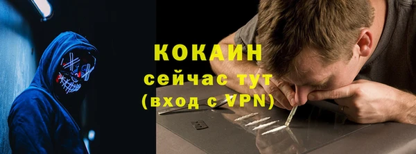 ECSTASY Богданович