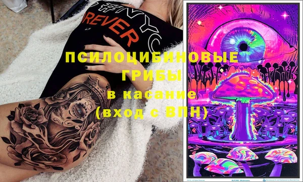 дурь Богородицк