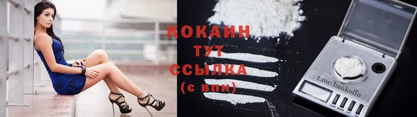 дурь Богородицк