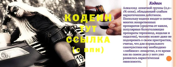 ECSTASY Богданович