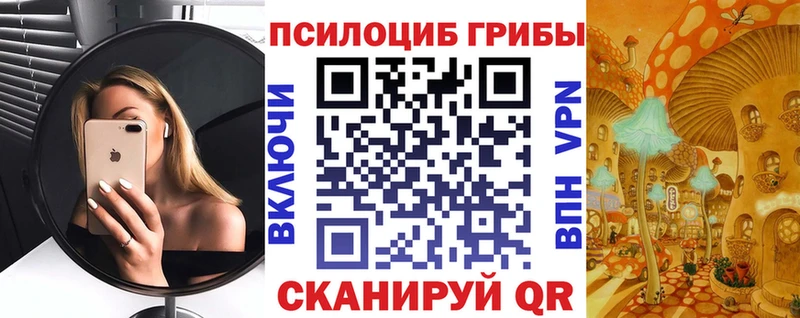 omg ссылки  Новый Уренгой  Галлюциногенные грибы Magic Shrooms 